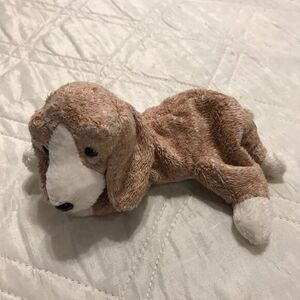TY Beanie Baby‎ - Sniffer the Dog (6.5 inch)
